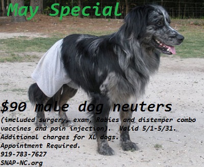 April Special