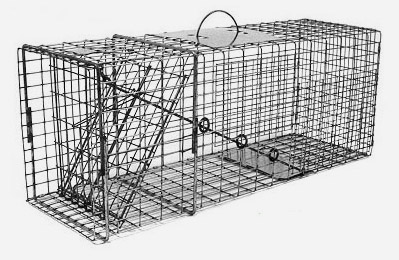 Humane Cat Traps & Trapping Instructions