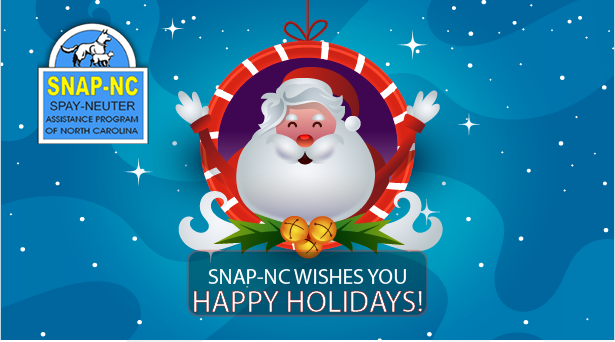 https://www.snap-nc.org/newsletter/2018/images/Happy-Holidays.png